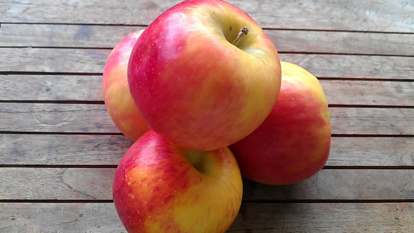 Obst aus dem eigenen Garten