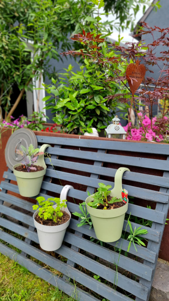 DIY vertikaler Garten mit Hängetöpfen