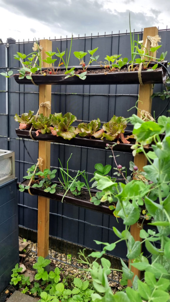 DIY vertikaler Garten aus Regenrinnen