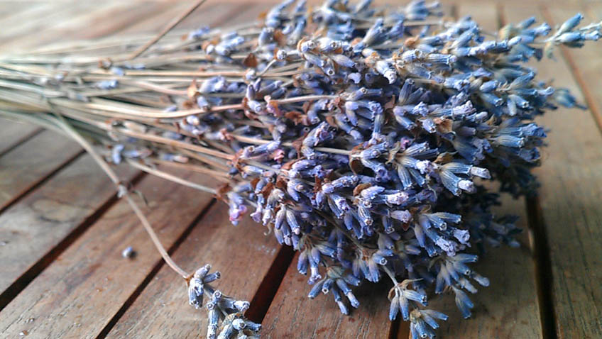 Mit Lavendel würzen