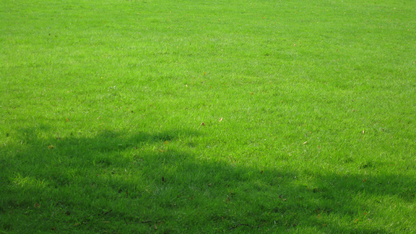Rasen im Herbst düngen
