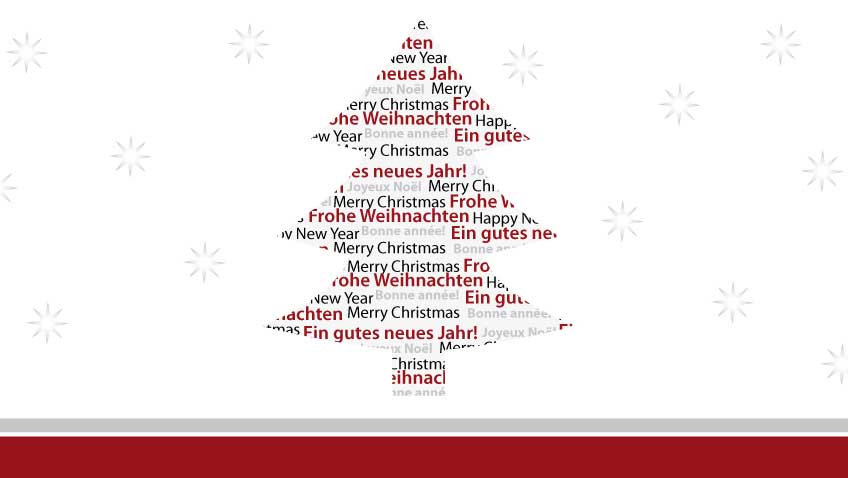 Wie lange wächst ein Weihnachtsbaum?