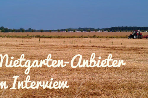 Mietgarten-Anbieter