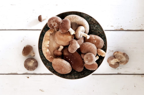 Shiitake selber züchten - Fertigkultur Pilze im Haus