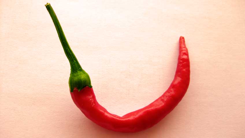 Peperoni aus eigenem Anbau