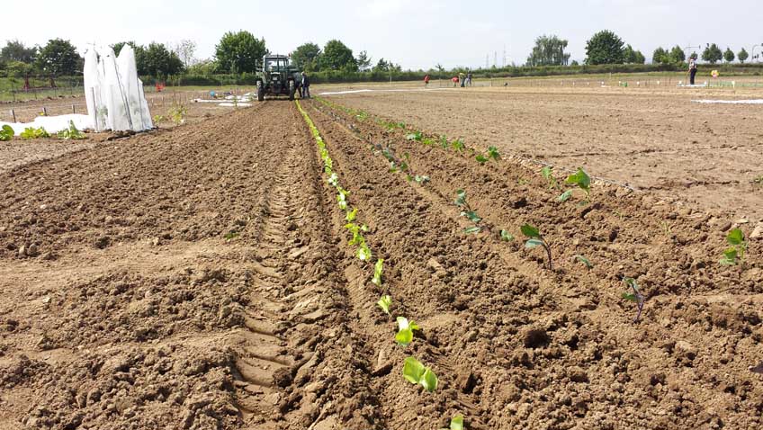 Traktor fährt über das Feld