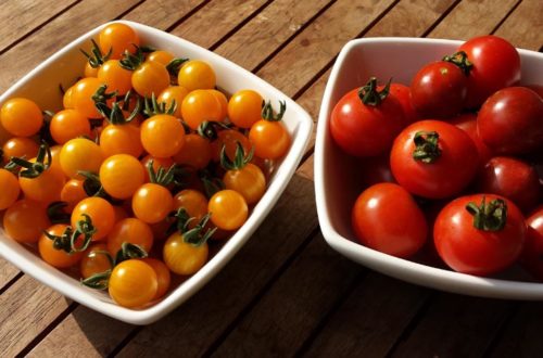 rote und gelbe Tomaten