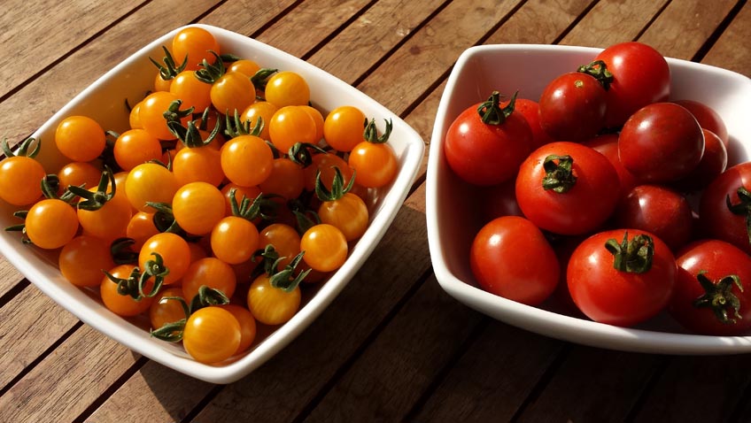 rote und gelbe Tomaten