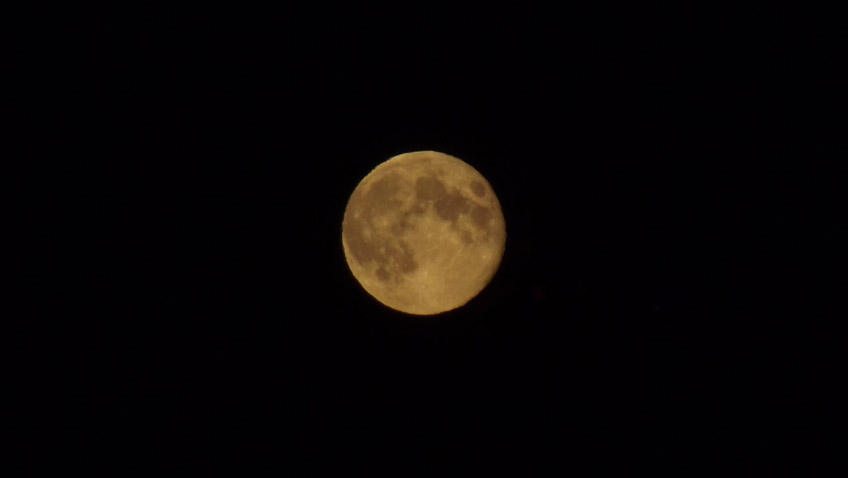 Gartenarbeit mit dem Mond - Vollmond