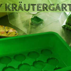 DIY Kräutergarten anlegen im Zimmergewächshaus