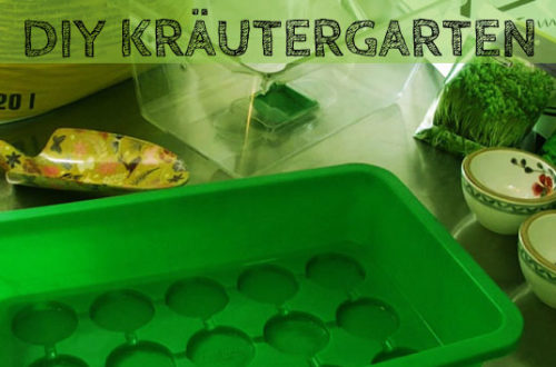 DIY Kräutergarten anlegen im Zimmergewächshaus