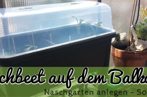 Hochbeet anlegen auf dem Balkon