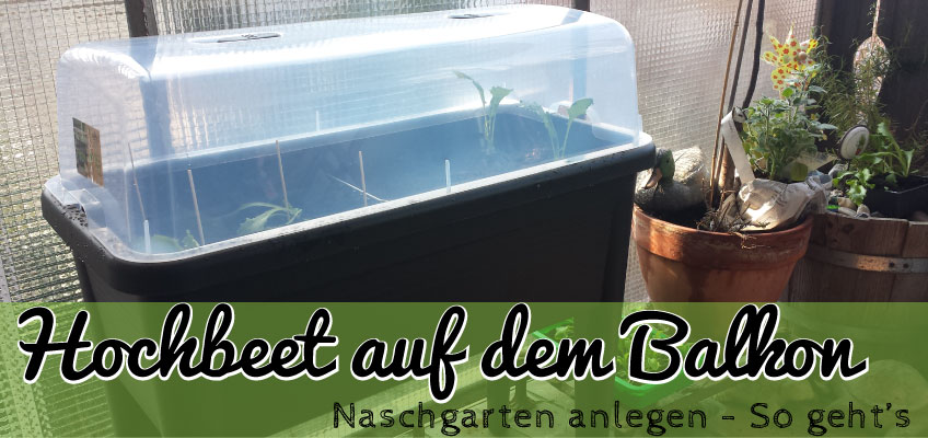 Hochbeet anlegen auf dem Balkon