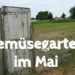 Gemüsegarten im Mai