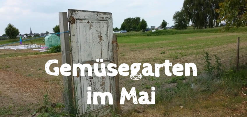 Gemüsegarten im Mai