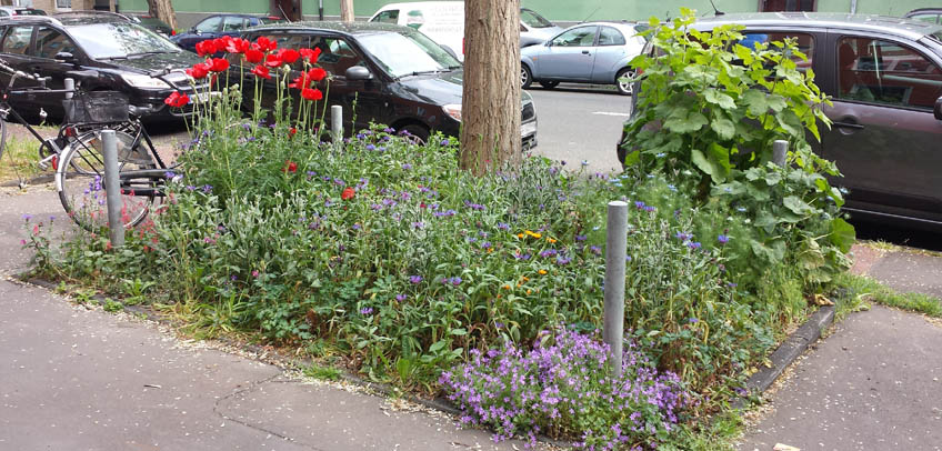 Urban Gardening - Tag des guten Lebens