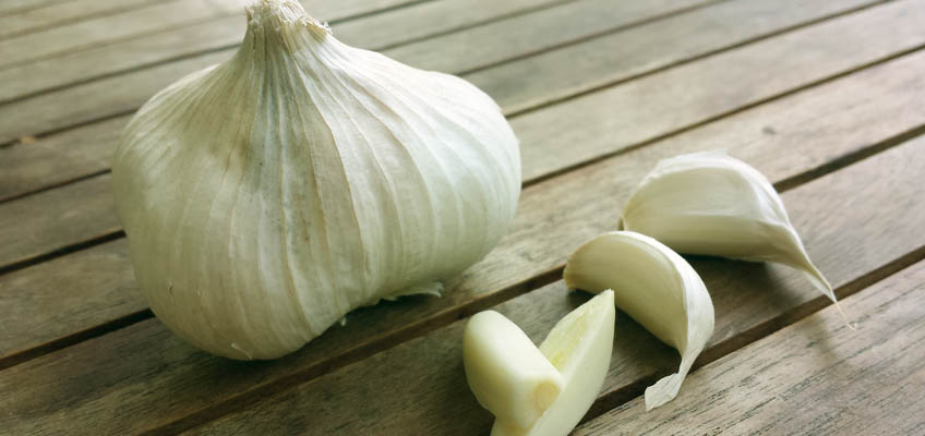 Knoblauch gegen Blattläuse