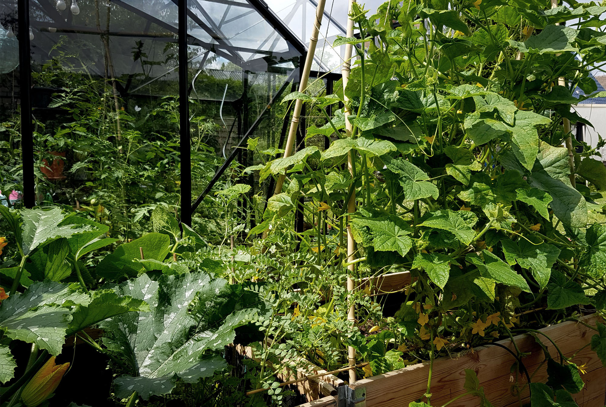 Gartenarbeit im August