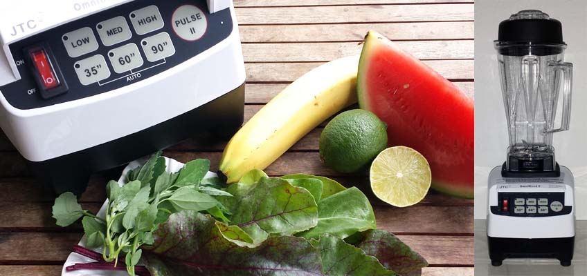 OmniBlend V im Test - Smoothie-Mixer