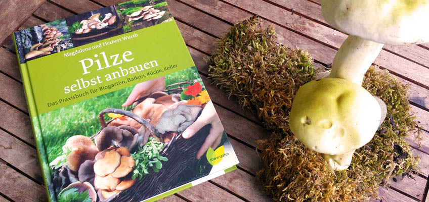 Buchvorstellung Pilze selbst anbauen
