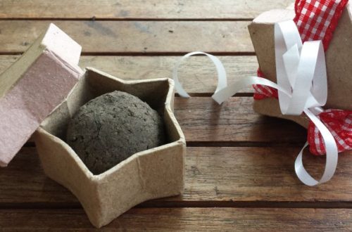 DIY Geschenkidee Seedballs selber machen