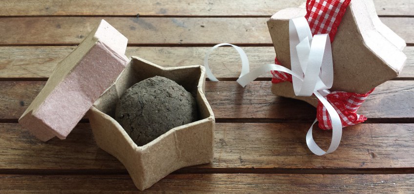 DIY Geschenkidee Seedballs selber machen