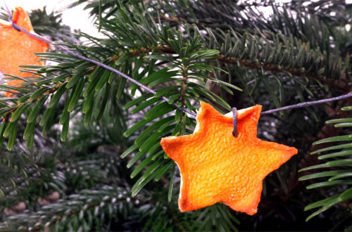 Weihnachtsbaum weiterverwenden