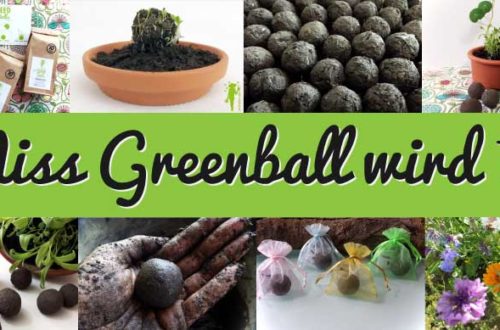 Miss Greenball wird 1