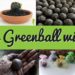 Miss Greenball wird 1