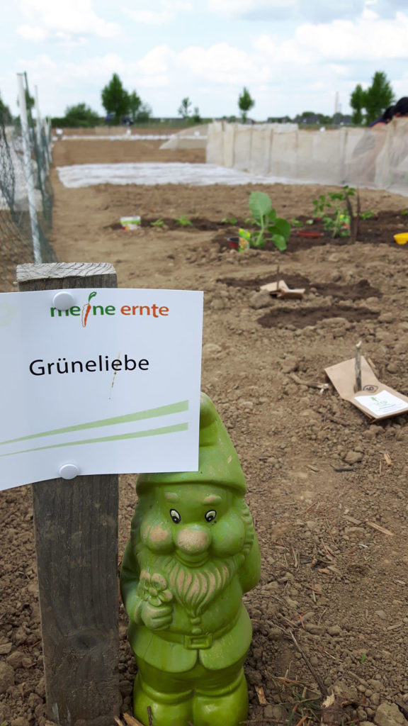 Grüneliebe Gartenzwerg