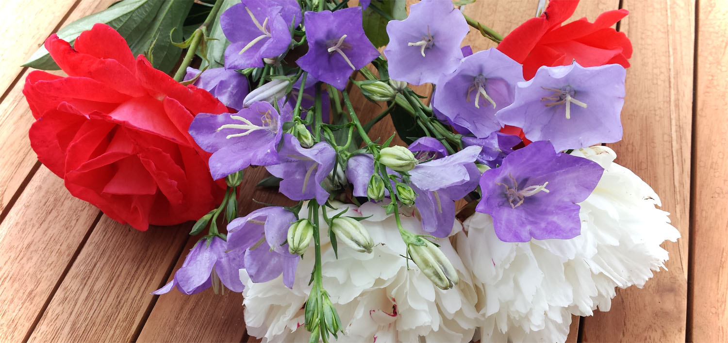 Sommerblumen aus dem Garten