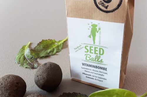 Seedballs Vitaminbombe mitz Herbstsorten Asia-Salat Rukola Kresse Sauerampfer