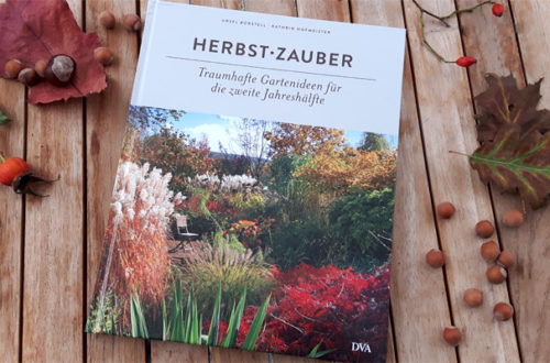 Herbstzauber Traumhafte Gartenideen für die zweite Jahreshälfte