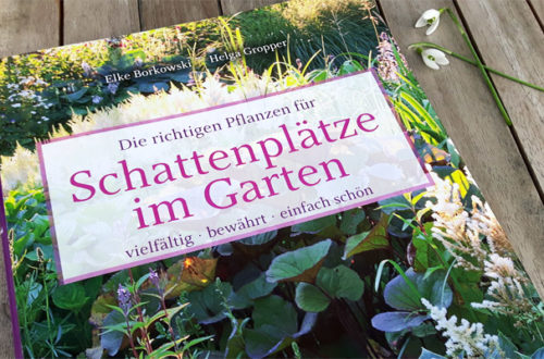 Schattenplätze im Garten