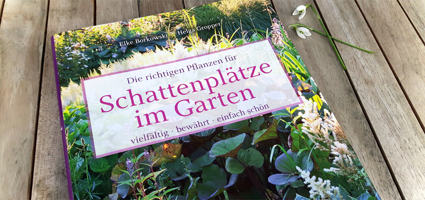 Schattenplätze im Garten