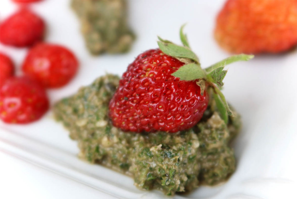 Süßes Pesto aus Zitronenmelisse mit Erdbeeren aus dem Garten