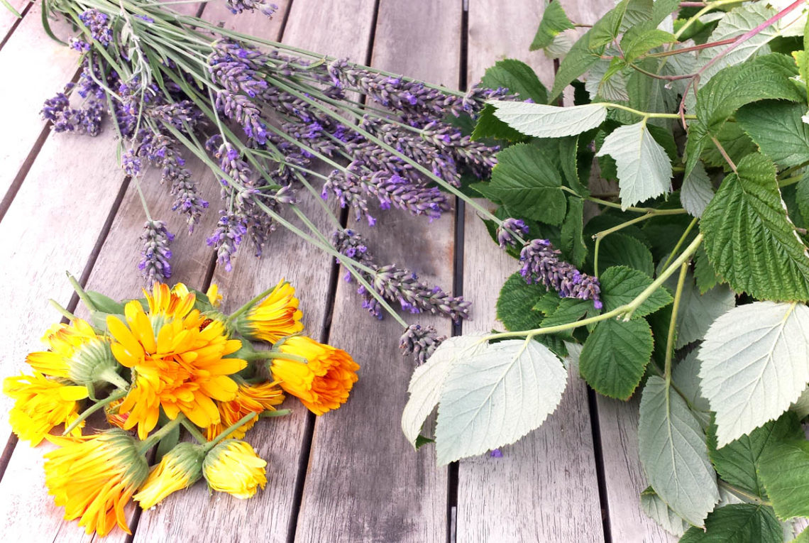 Blüten und Teekräuter trocknen