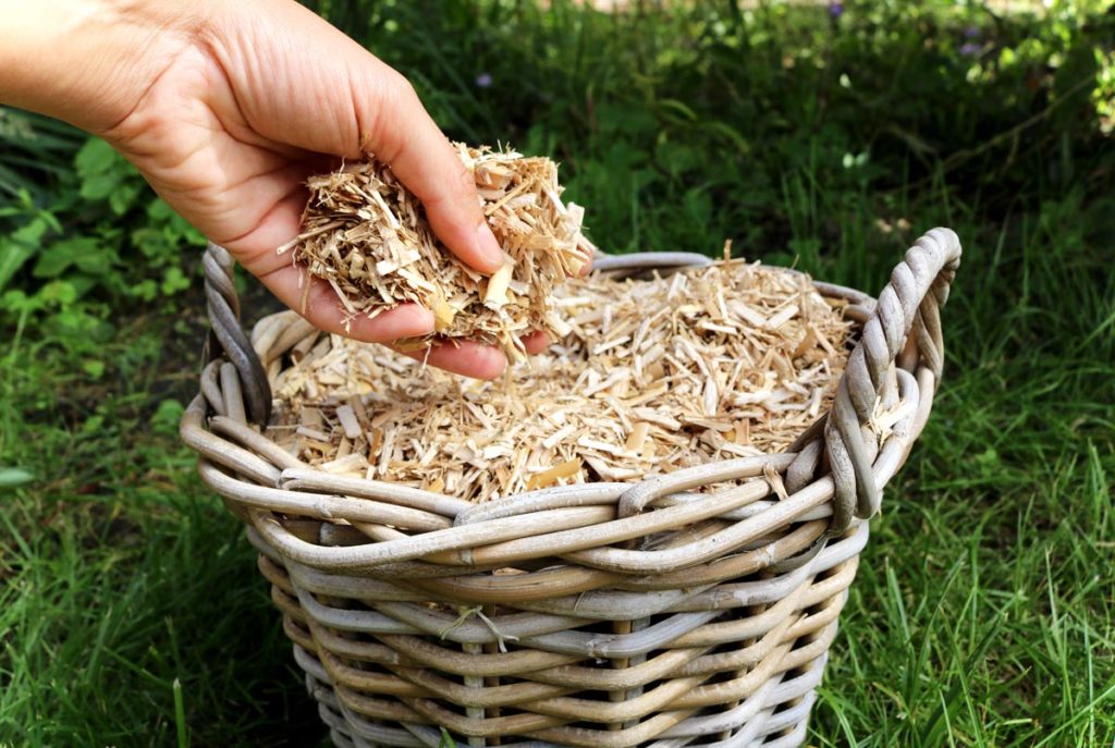 Miscanthus Häcksel Alternative zu Rindenmulch