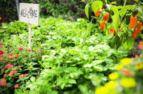 Gartenbloggertreffen Welcome