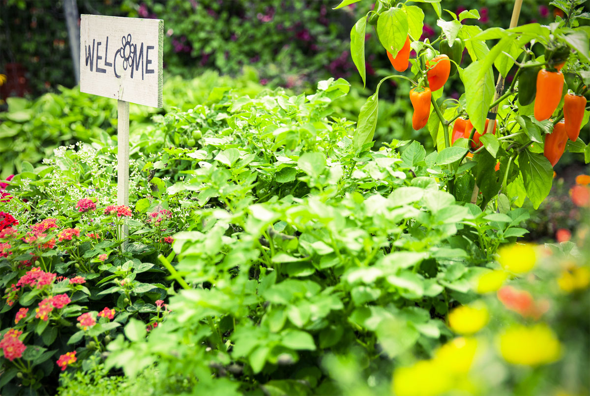 Gartenbloggertreffen Welcome