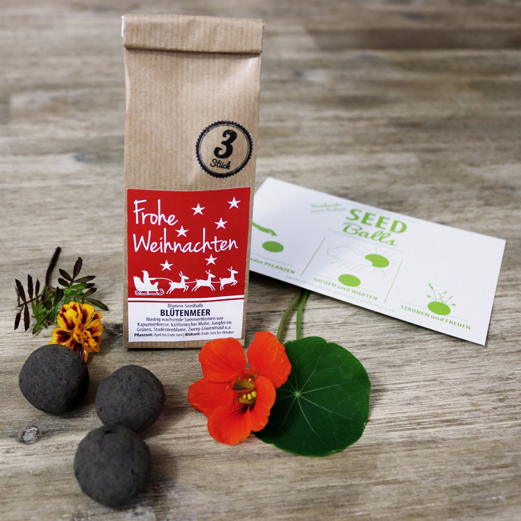 Seedballs Weihnachts-Edition Blumen-Seedbombs von MISS GREENBALL - Frohe Weihnachten Blütenmeer