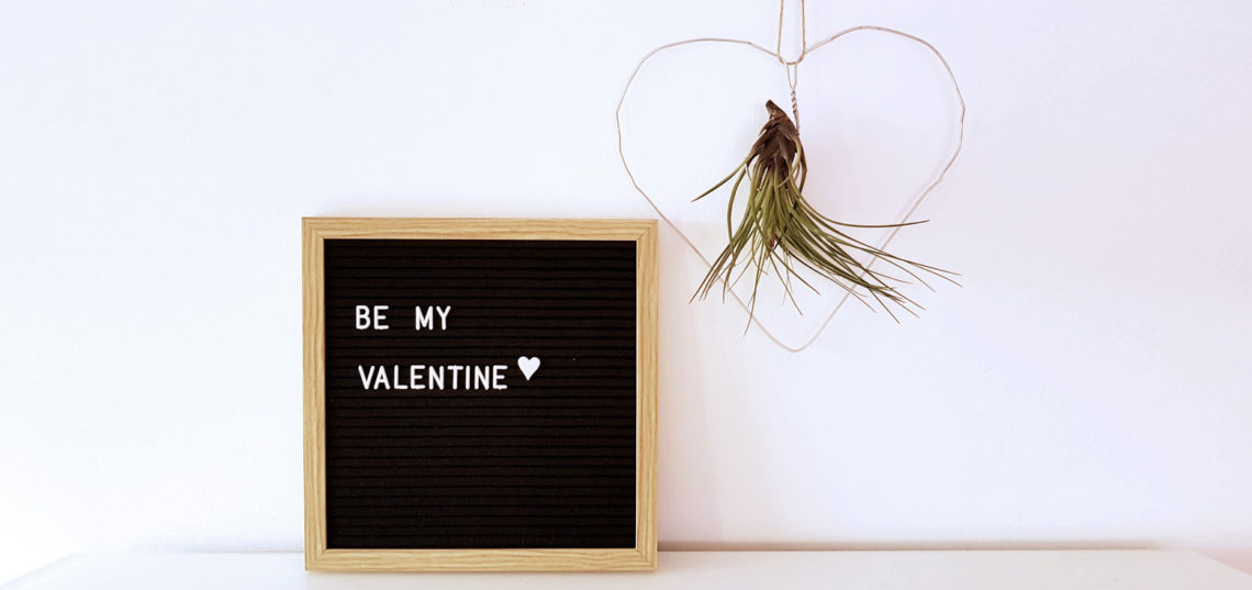 Drahtherz Tillandsia DIY Valentinstag | Von Luft und Liebe