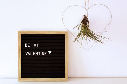 Drahtherz Tillandsia DIY Valentinstag | Von Luft und Liebe