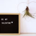 Drahtherz Tillandsia DIY Valentinstag | Von Luft und Liebe