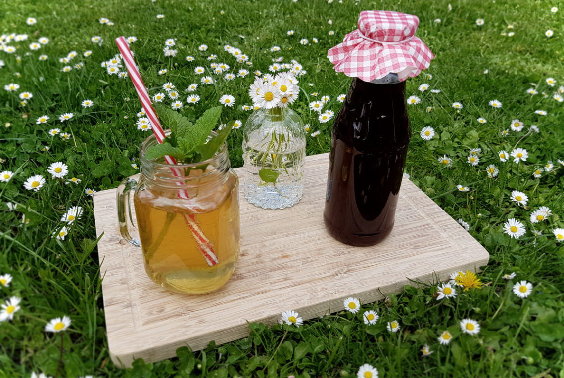 Gänseblümchenlimonade selbstgemacht aus Gänseblümchensirup