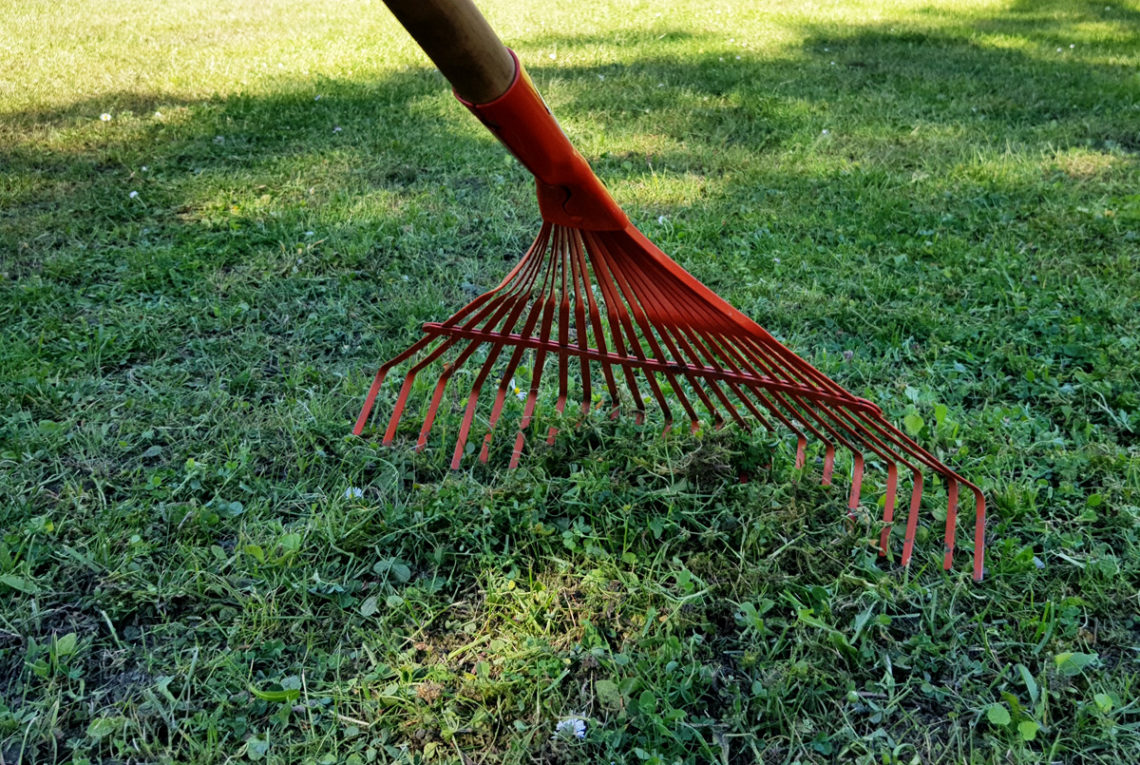 Rasenpflege Vertuktieren und Nachsäen Compo After Moos Rasen