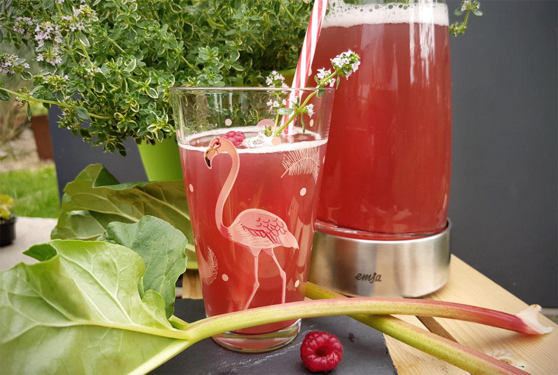 Werbung // Himbeer-Rhabarber-Limonade Grüneliebe selbstgemacht City Garden