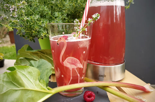 Werbung // Himbeer-Rhabarber-Limonade Grüneliebe selbstgemacht City Garden