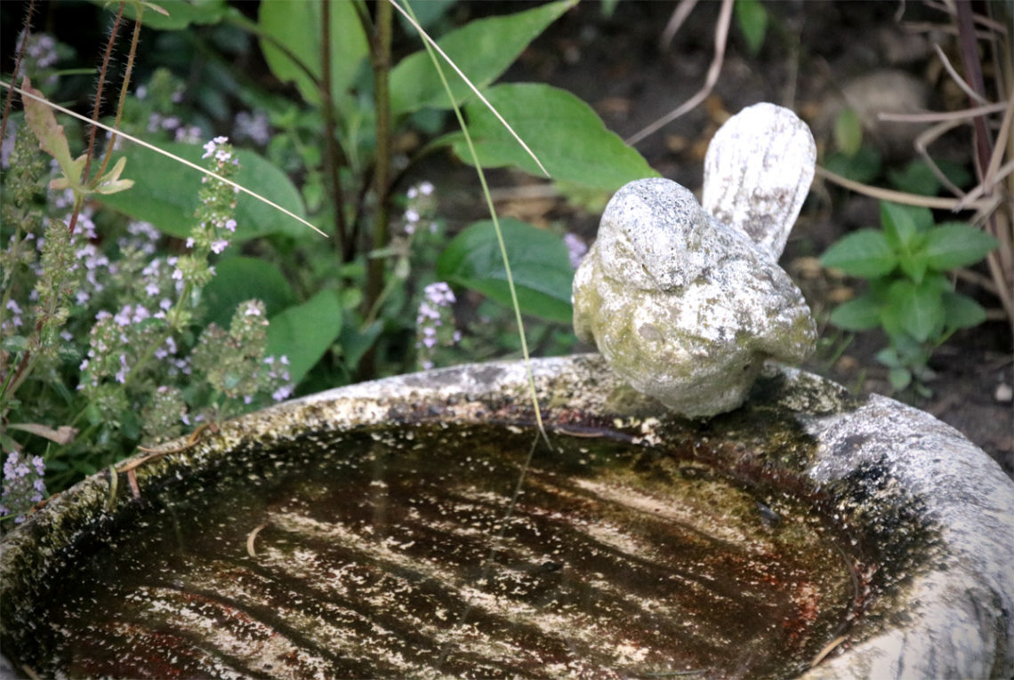 Wasser für Vögel und Insekten - Wassertränke DIY