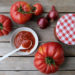 Tomaten Ketchup selber machen - Tomaten aus dem Garten